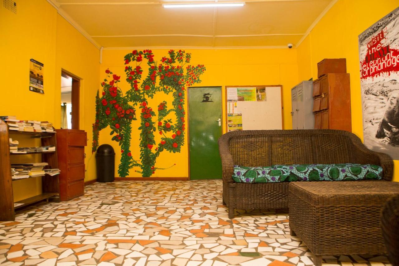 Hostel Lusaka Backpackers Exterior foto